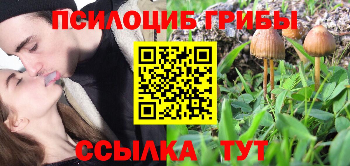 Псилоцибиновые грибы мицелий  Галлюциногенные грибы Psilocybe  Вход с VPN  Миасс 